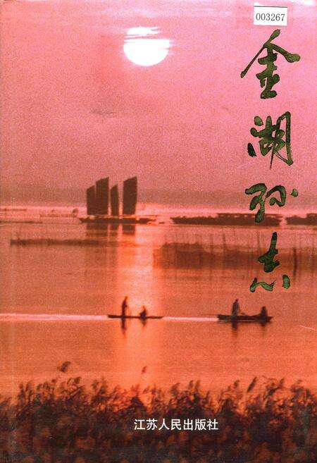 《金湖县志》.pdf_江苏省志缩略图