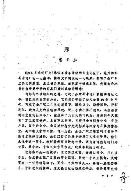 《如东县水泥厂志》.pdf_江苏省志预览图4
