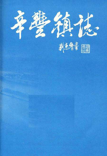 《辛丰镇志》.pdf_江苏省志预览图1