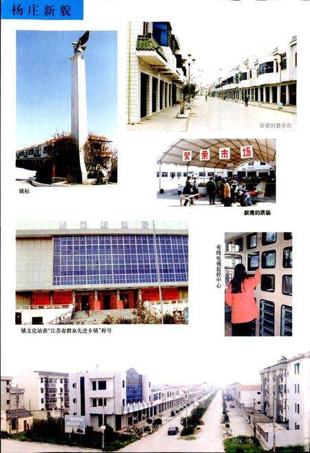 《杨庄镇志》.pdf_江苏省志预览图5