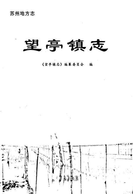 《望亭镇志》.pdf_江苏省志预览图1