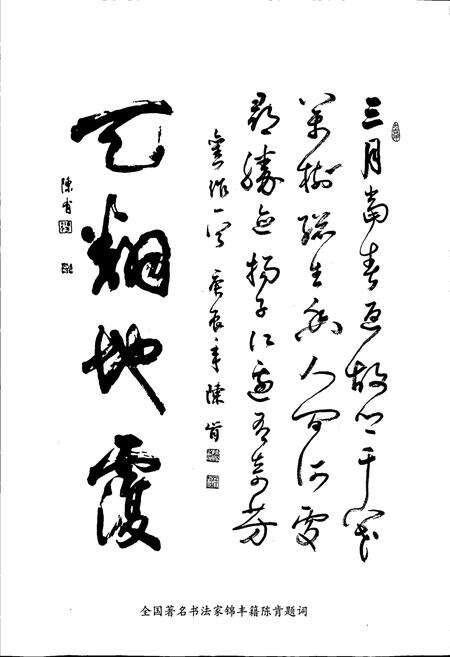 《锦丰镇志》.pdf_江苏省志预览图4