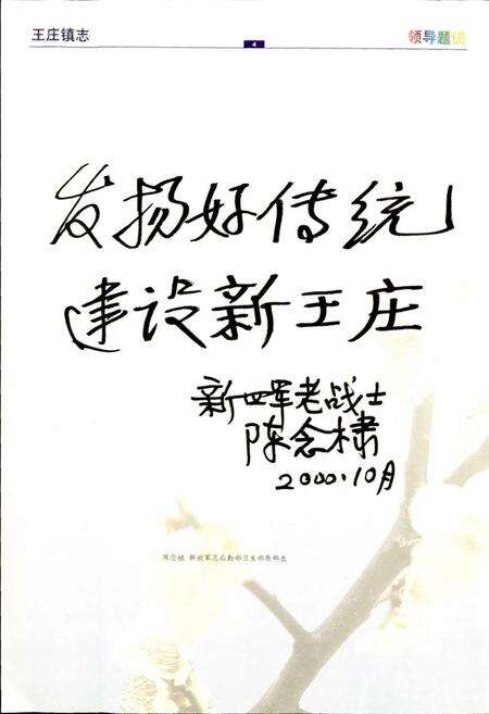 《王庄镇志》.pdf_江苏省志预览图5