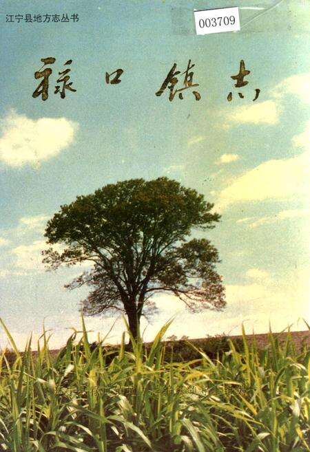 《禄口镇志》.pdf_江苏省志缩略图