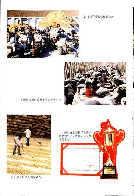 《东海县粮食志》.pdf_江苏省志预览图3
