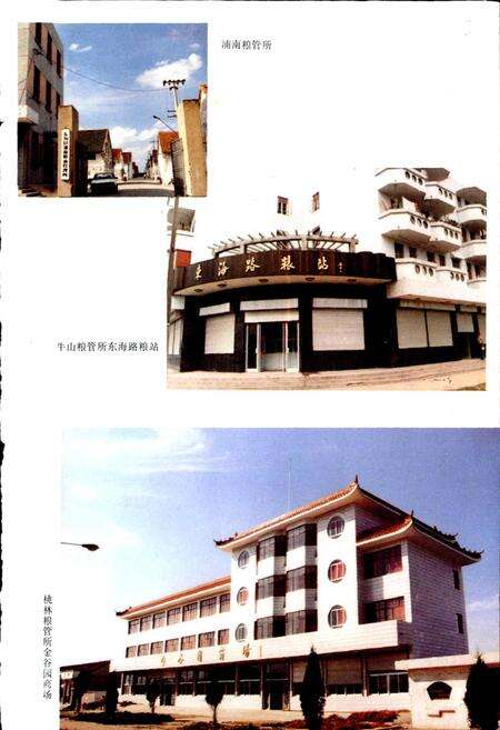 《东海县粮食志》.pdf_江苏省志预览图4