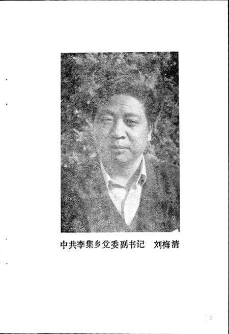《李集乡志》.pdf_江苏省志预览图5