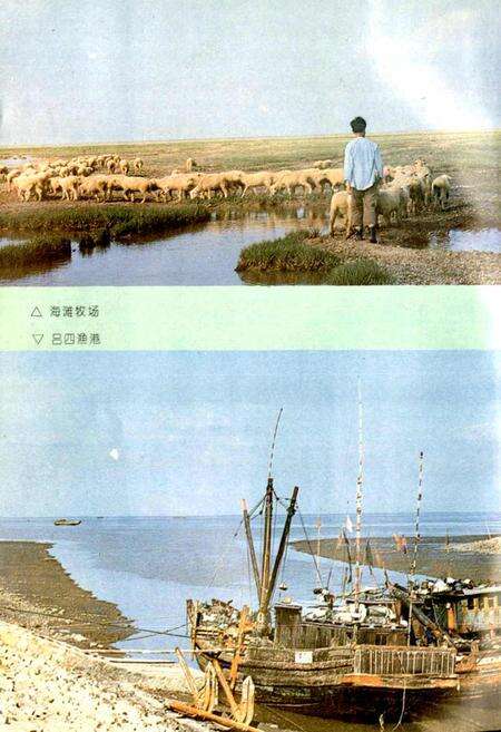 《南通市海涂开发志》.pdf_江苏省志预览图3