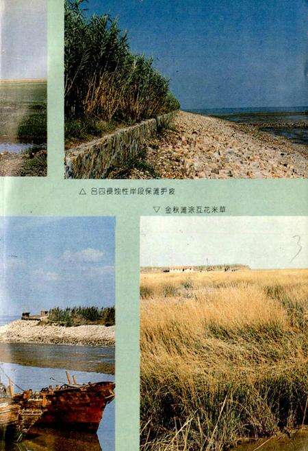 《南通市海涂开发志》.pdf_江苏省志预览图4