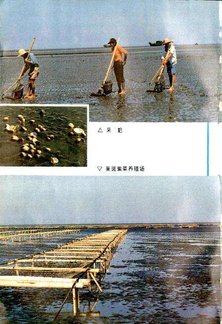 《南通市海涂开发志》.pdf_江苏省志预览图5