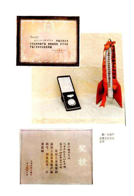 《常州钟表总厂志》.pdf_江苏省志预览图2