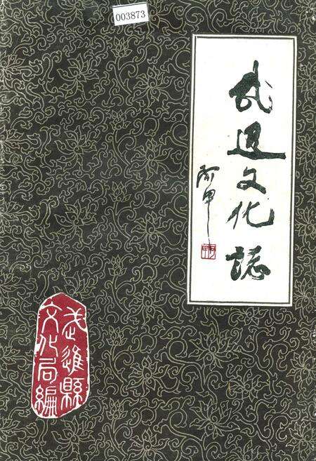 《武进文化志》.pdf_江苏省志缩略图