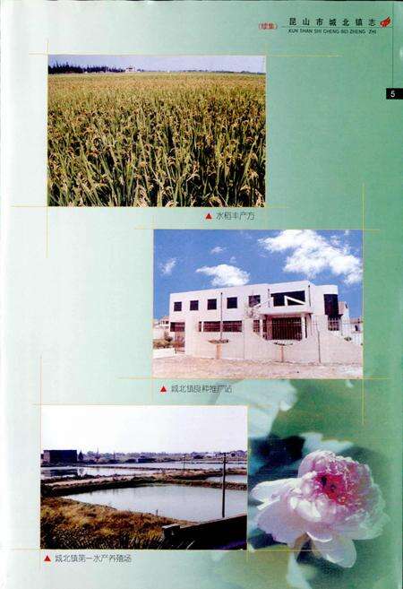 《昆山市城北镇志（续集）》.pdf_江苏省志预览图4