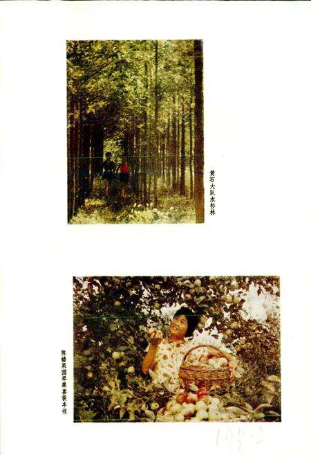 《江苏省邳县地名录》.pdf_江苏省志预览图5