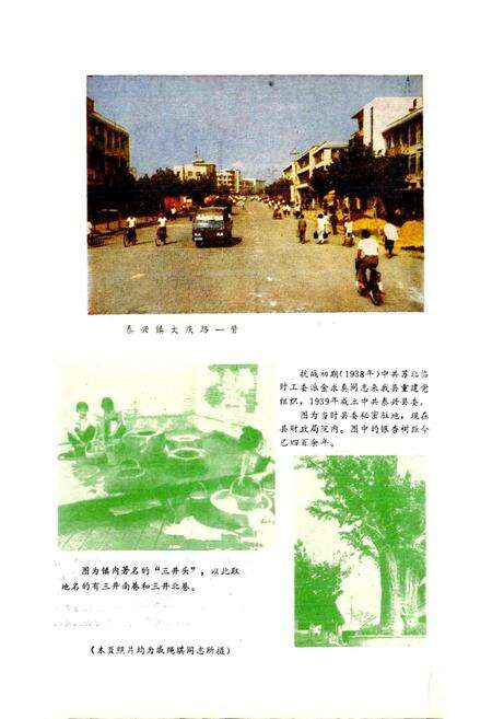《江苏省泰兴县地名录》.pdf_江苏省志预览图4