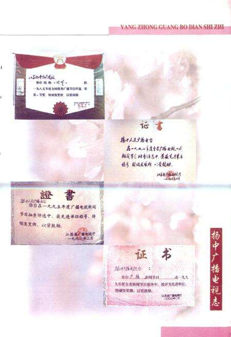 《扬中广播电视志》.pdf_江苏省志预览图3