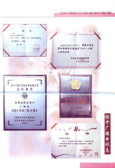 《扬中广播电视志》.pdf_江苏省志预览图5