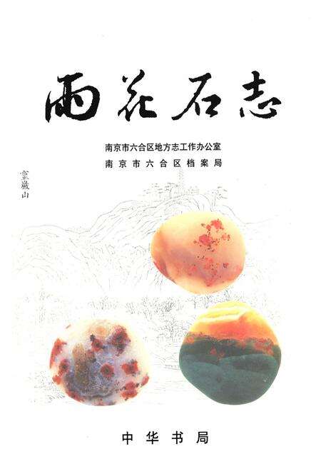 《雨花石志》.pdf_江苏省志缩略图