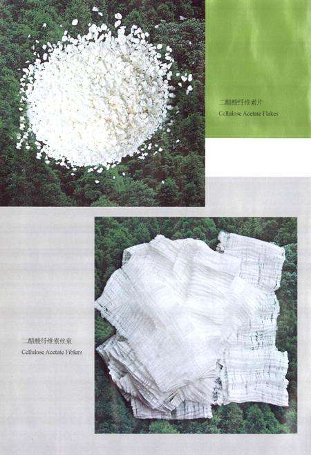 《南通醋酸纤维有限公司志》.pdf_江苏省志预览图4