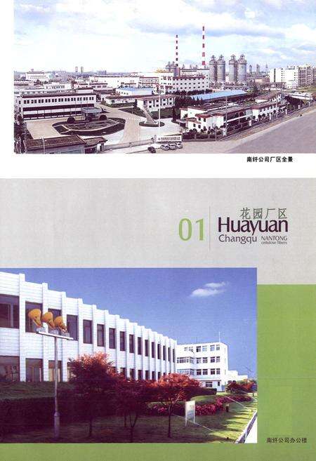 《南通醋酸纤维有限公司志》.pdf_江苏省志预览图5