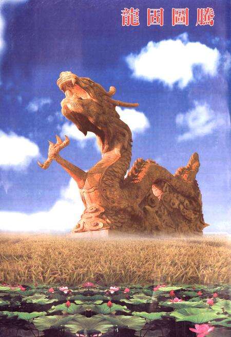 《龙固镇镇志》.pdf_江苏省志预览图4