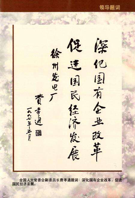 《徐州发电厂志(1970-1995)》.pdf_江苏省志预览图4