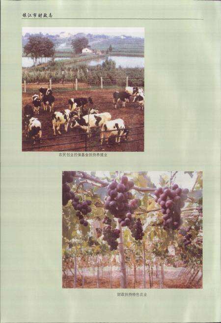 《镇江市财政志(1986-2005)》.pdf_江苏省志预览图5