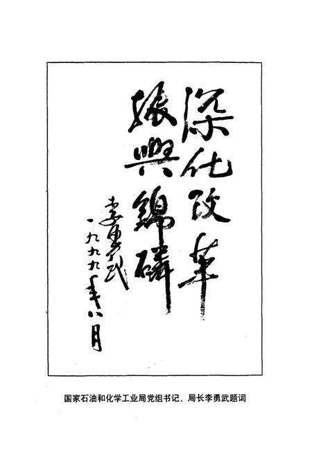 《锦屏磷矿志(1919-1999)》.pdf_江苏省志预览图5