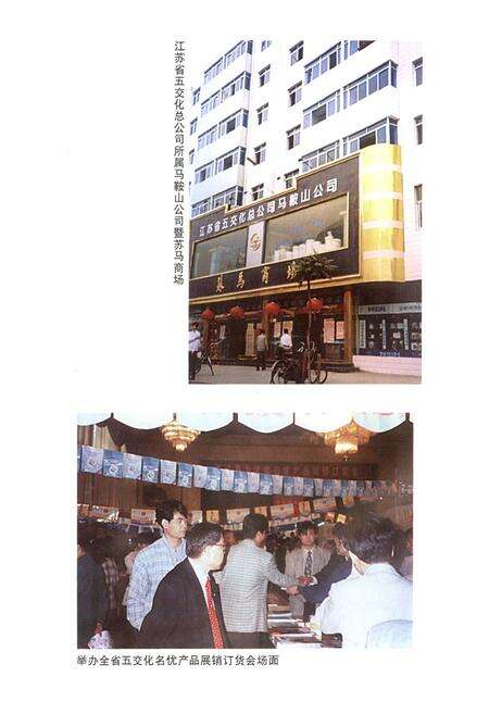 《江苏省五金交电化工商业志》.pdf_江苏省志预览图5