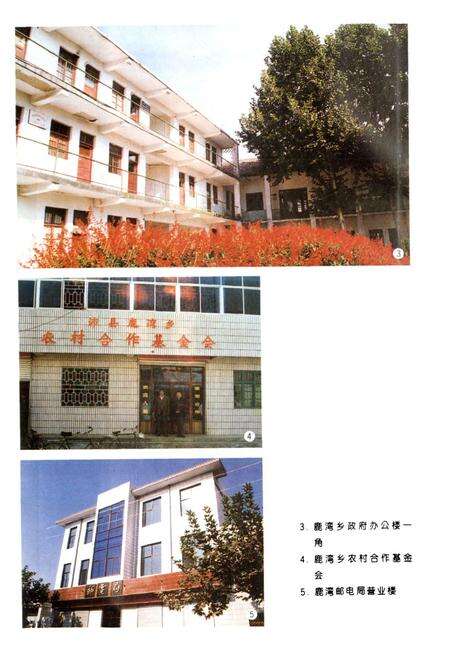 《鹿湾乡志》.pdf_江苏省志预览图3