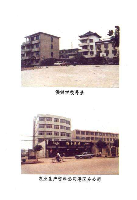 《沙洲县供销合作社志(1962年-1986年)》.pdf_江苏省志预览图5