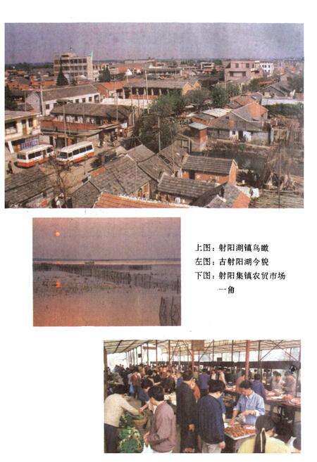 《射阳湖镇志》.pdf_江苏省志预览图5