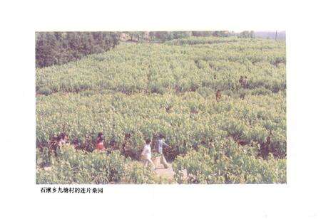 《溧水县各种经营志》.pdf_江苏省志预览图5