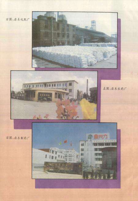 《启东县财政志(1928-1990年)》.pdf_江苏省志预览图4