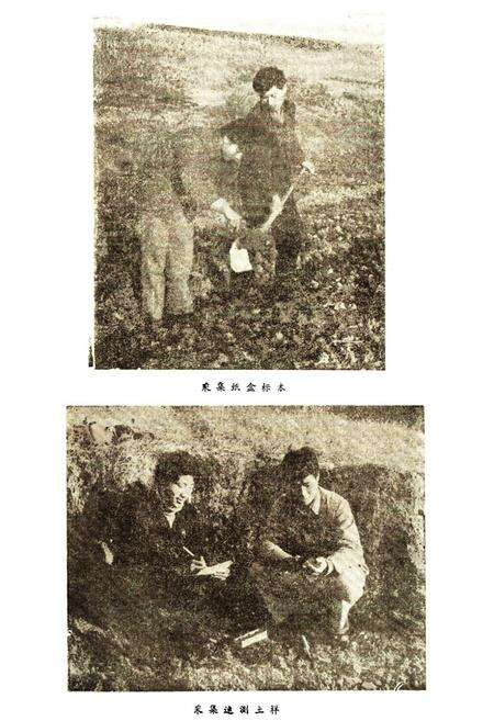 《江苏省句容县土壤志》.pdf_江苏省志预览图5