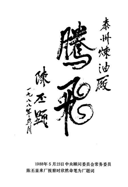 《泰州石油化工总厂志(1970-1990)》.pdf_江苏省志预览图3