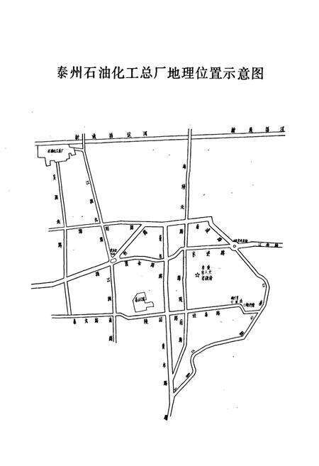 《泰州石油化工总厂志(1970-1990)》.pdf_江苏省志预览图4
