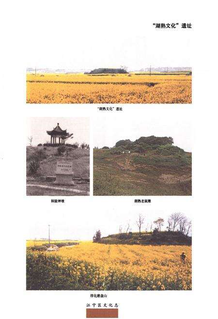 《江宁区文化志》.pdf_江苏省志预览图2