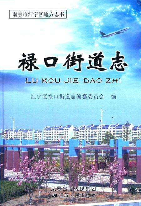 《《禄口街道志》》.pdf_江苏省志缩略图