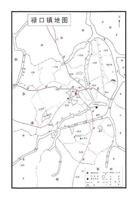 《《禄口街道志》》.pdf_江苏省志预览图4