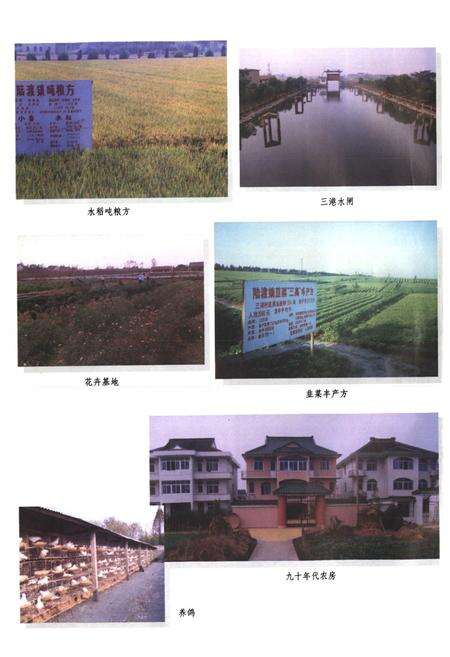 《陆渡镇志》.pdf_江苏省志预览图5