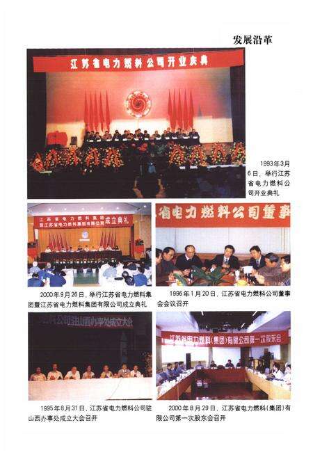 《江苏省电力燃料集团有限公司志》.pdf_江苏省志预览图5