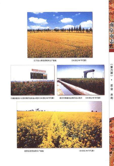 《南京市志6农业水利》.pdf_江苏省志预览图2
