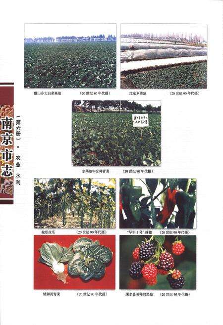 《南京市志6农业水利》.pdf_江苏省志预览图3