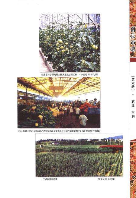《南京市志6农业水利》.pdf_江苏省志预览图4