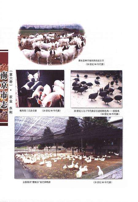 《南京市志6农业水利》.pdf_江苏省志预览图5