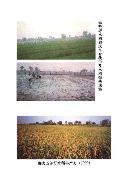 《溧水县农业志》.pdf_江苏省志预览图4