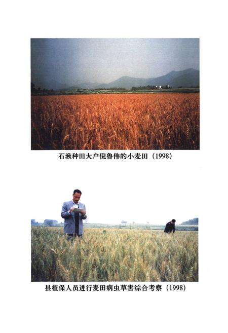 《溧水县农业志》.pdf_江苏省志预览图5