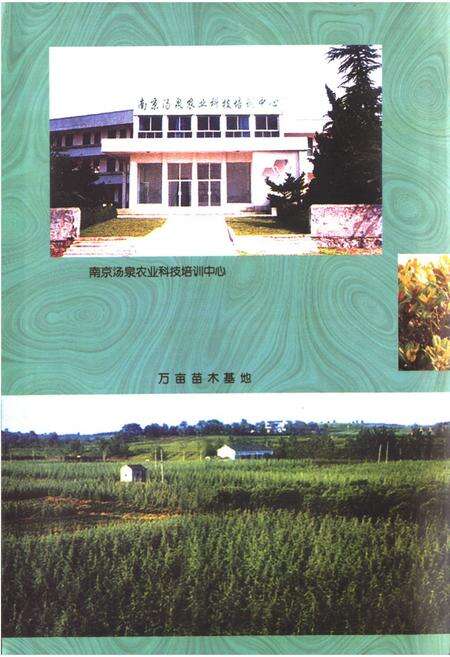 《汤泉镇志》.pdf_江苏省志预览图5