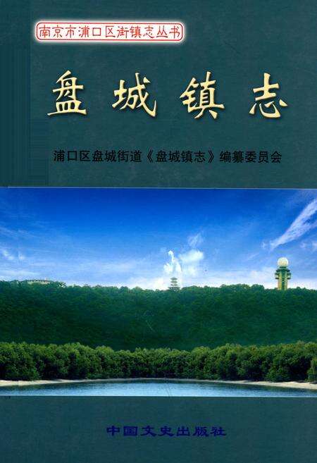 《《盘城镇志》》.pdf_江苏省志缩略图